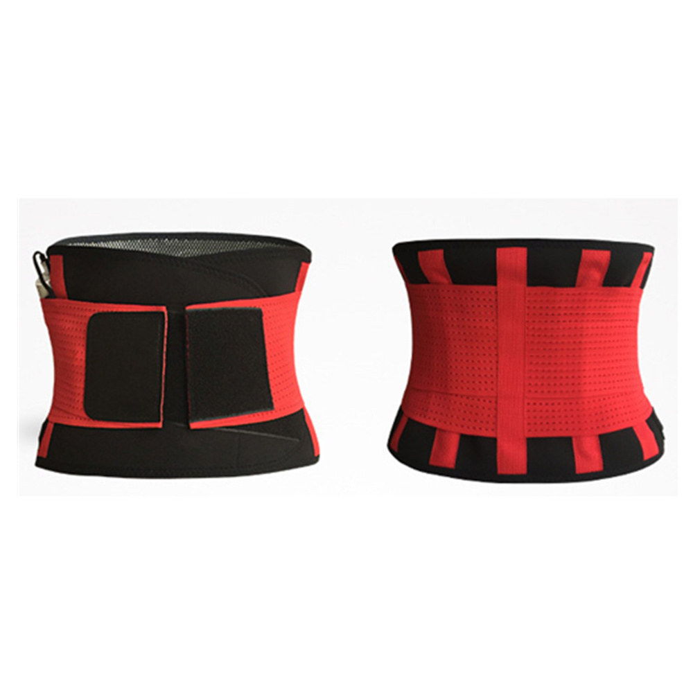 H010 Waist Support